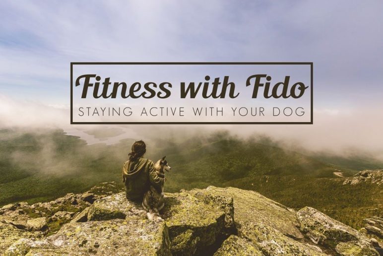 Fitness with fido