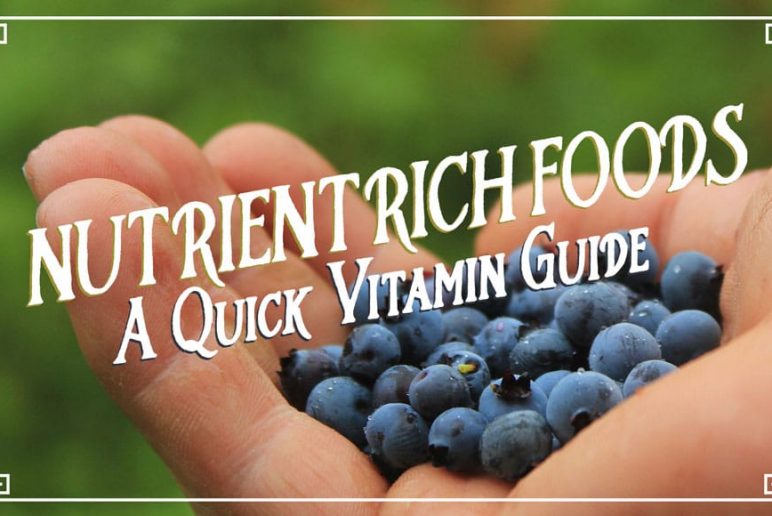 Nutrient Rich Foods: A Quick Vitamin Guide