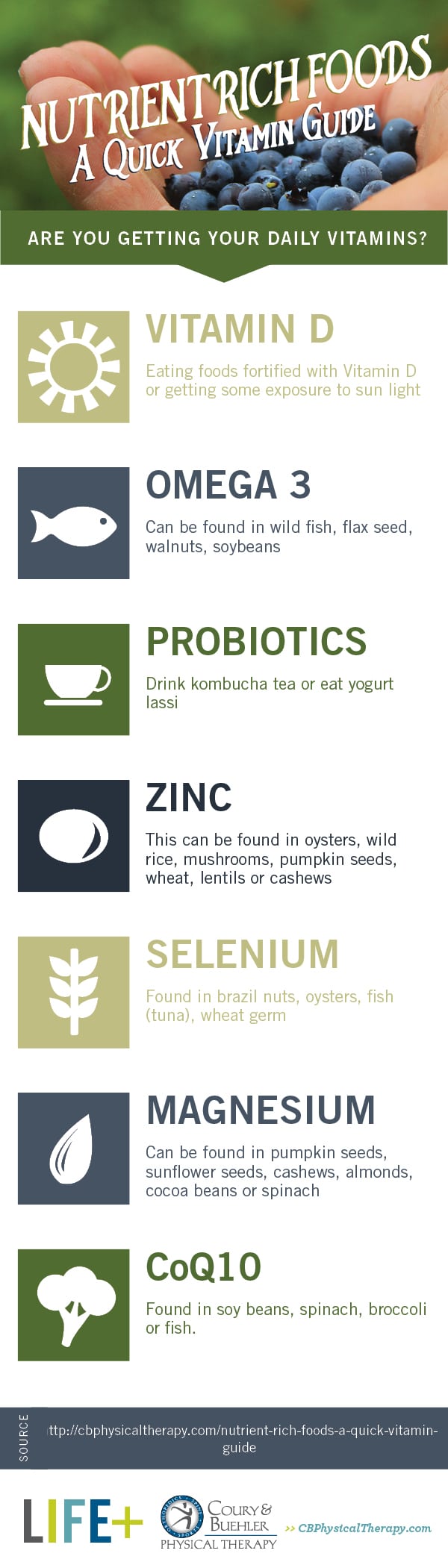 Vitamins Infographic