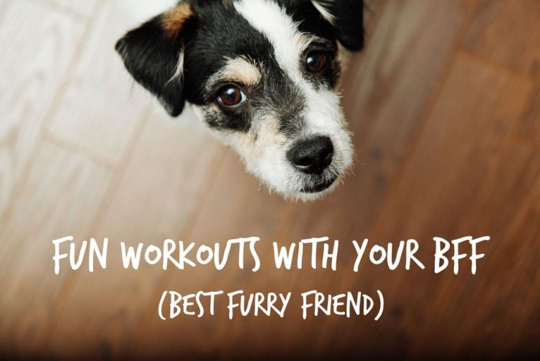 Fun Workouts with Your BFF (Best Furry Friend)