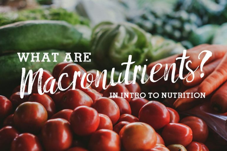 What are Macronutrients? An Intro to Nutrition