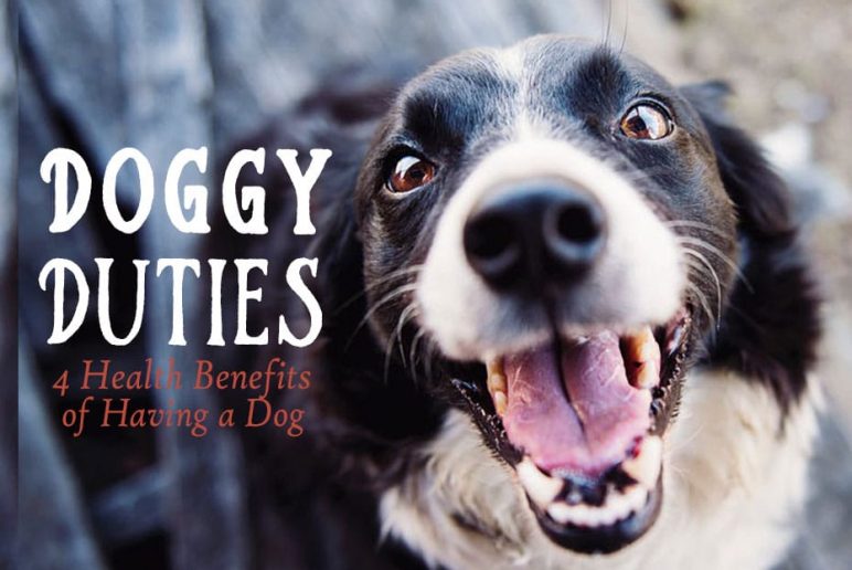 Doggy Duties: 4 Health Benefits of Having a Dog