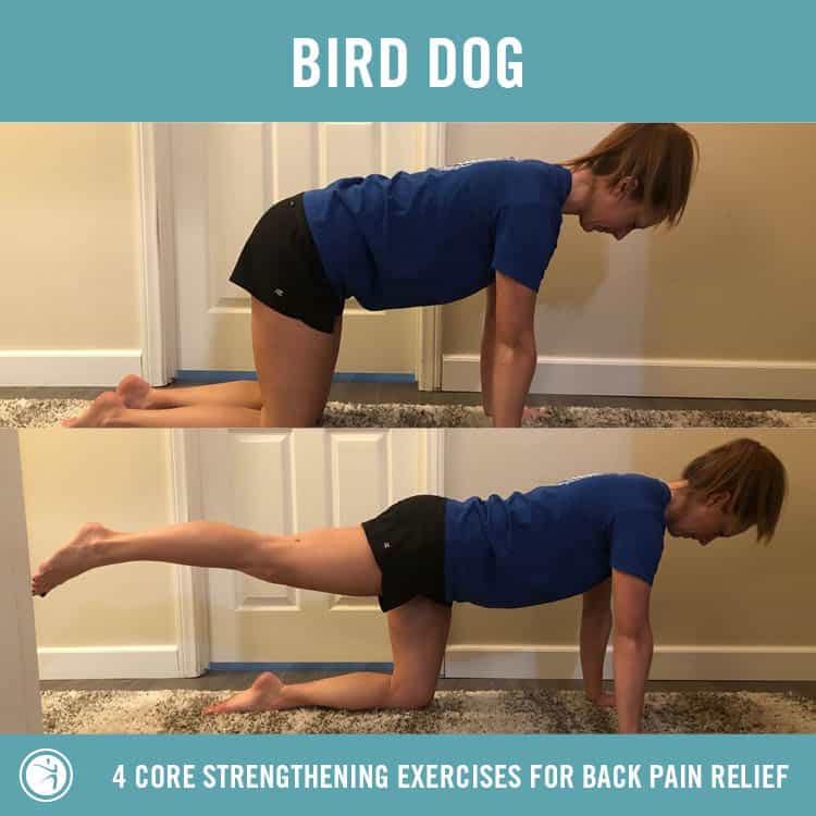 Core strengthening exercises for bad online back