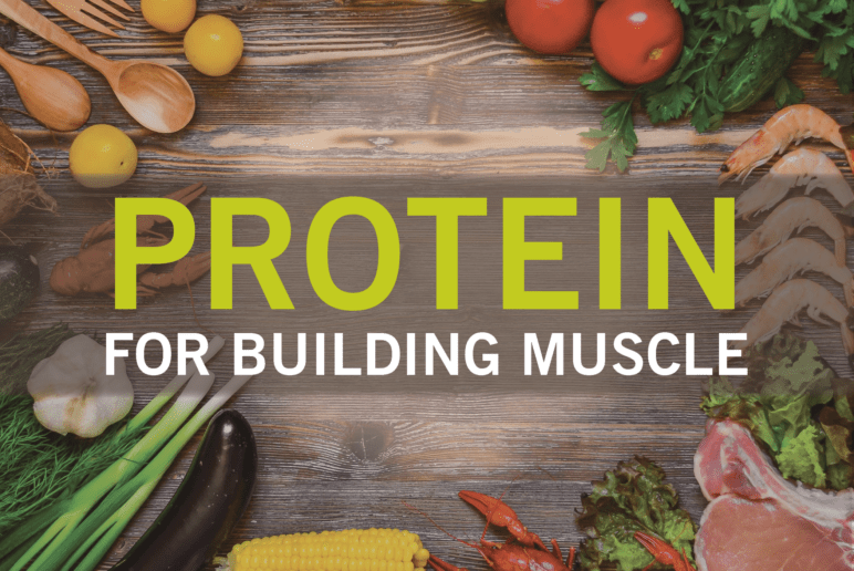 Protein For Building Muscle