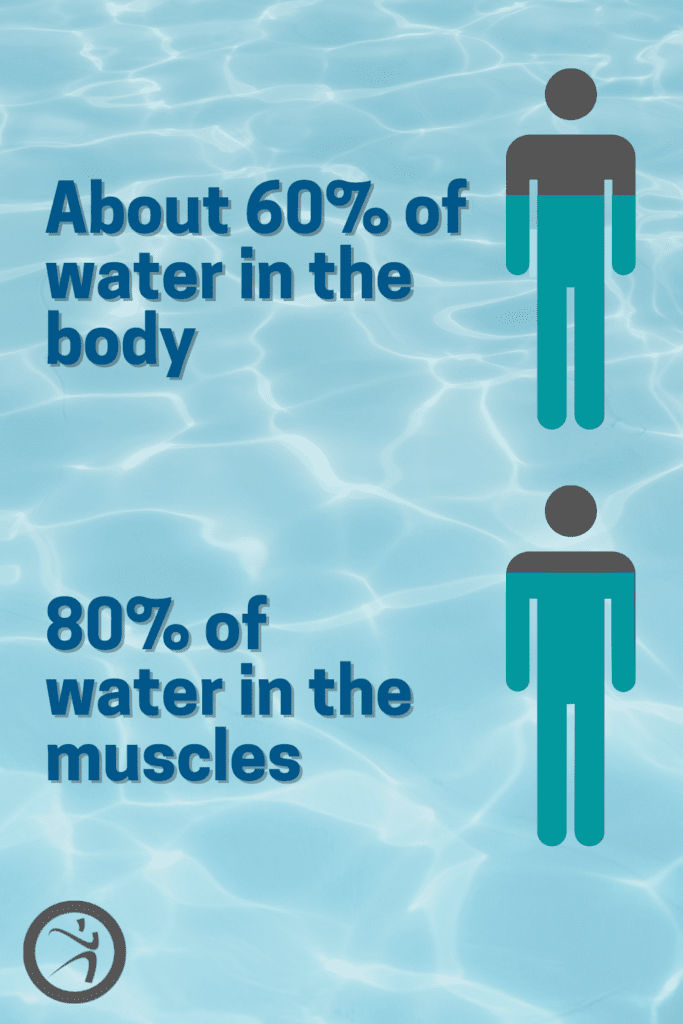 What Happens To Your Body When You Drink Water?