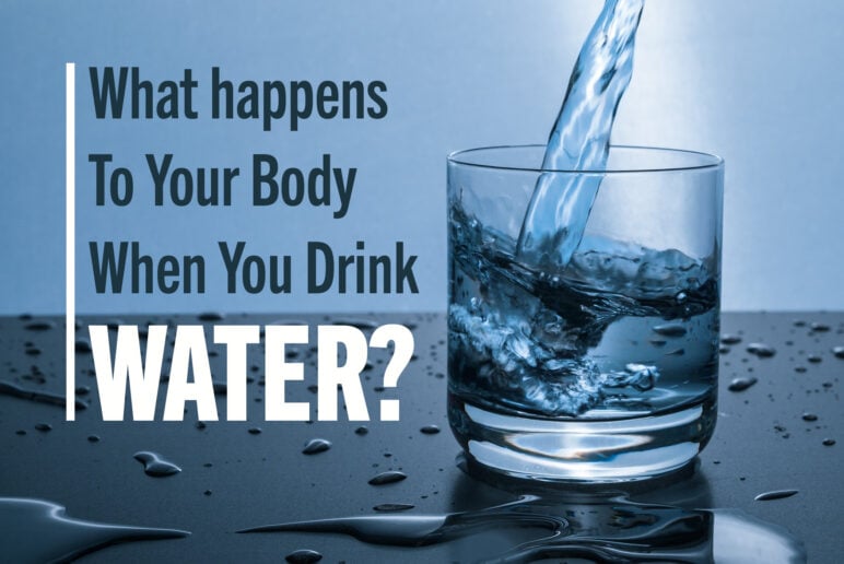 what happens to your body when you drink water - Coury & Buehler Physical Therapy